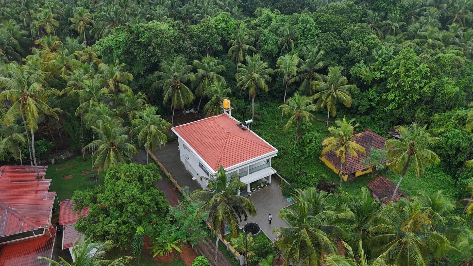 Aerial view of the retreat amid swaying coconut palms